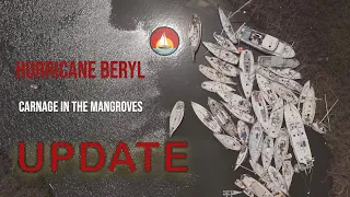 Carnage in the Mangroves UPDATE  |  Ep120