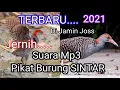 Download Lagu TERBARU 2021...SUARA MP3 PIKAT Burung Sintar
