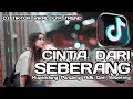 Download Lagu DJ CINTA DARI SEBERANG ZINIDIN ZIDAN FULL MELODY REMIX VIRAL FYP TIKTOK TRENDING 2025❤