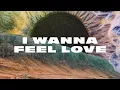Download Lagu Jonathan Roy - I Wanna Feel Love (Lyric Video)