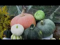 Alcoolik Pills 014 Special Halloween Edition