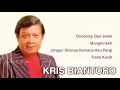 Download Lagu KRIS BIANTORO, The Very Best Of