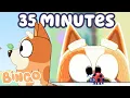 Spring Time Is HERE 35 Minutes OF Spring Time Fun Bingo - Channel