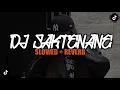 DJ SAKTENANE || SLOWED + REVERB