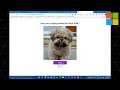 How to create a Static Web App in Azure and GitHub from VSCode