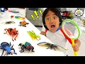 Ryan s Bug Catching Pretend Play and Learn Insect Facts for kids