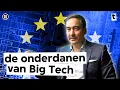 Lagu Zo nemen techplatforms de Europese economie over volgens Tim Wu