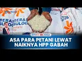 Download Lagu ON FOCUS Asa Baru Naiknya HPP Gabah Jadi Rp 6.500, Bulog Siap Serap Langsung Beras dari Petani