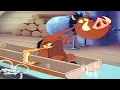 Download Lagu Timon \u0026 Pumbaa Season 1x35A - Maine-Iacs Full Episode
