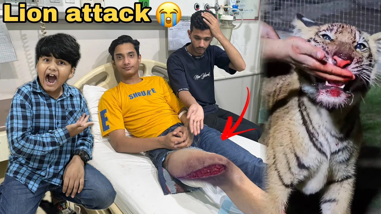 Is (Lion)🦁ny Shayan pr Attack kr dea😱 || Ali rony Lag gya 😭