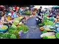 Download Lagu Massive Fresh Food Supply in Cambodia’s Hidden Market Gems