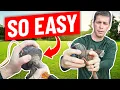 How to Change a String Trimmer Weed Eater Weed Whacker Head