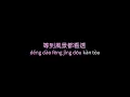 王菲-紅豆(hóng dòu)RED BEAN |Pinyin|Scrolling |Lyric|Chinese|Mandarin Song