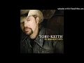 Toby Keith - He Ain t Worth Missing