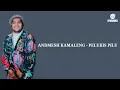 Download Lagu ANDMESH KAMALENG - PELUKIS PILU (Lyrics Video)
