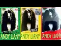Download Lagu Lagu Buat Andy Liany - Yg Terakhir (Anang Hermansyah)
