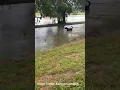Flooding in Blanco Texas