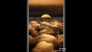 حالات واتس عصام صاصا عيني بتفتح علي السنتي دندنها