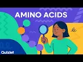 Introduction to Amino Acids Structure Charge and Side Chains