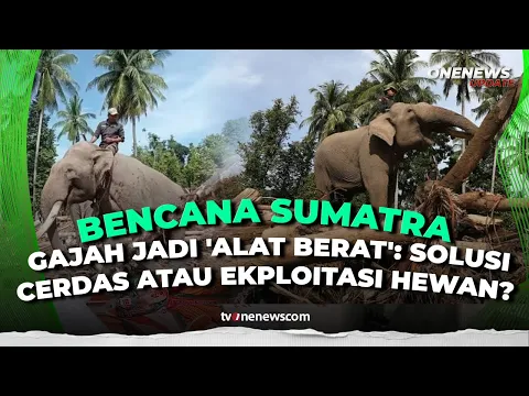 4 Ekor Gajah Bantu Bersihkan Puing Kayu di Aceh Tuai Kecaman, Begini Kata BKSDA