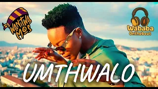 dj maphorisa x nomcebo x kabza