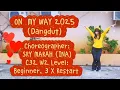 Lagu ON MY WAY 2025 ( DANGDUT) ll beginner LD ll Choreographer: SRY MARAH (INA)