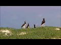 روق اعصابك