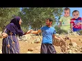 Download Lagu 🙏 The patient efforts of the nomadic husband to restore peace to the twins' family 🕊️