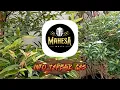 Bahtera Mahligai Cinta | Ajeng Febria Ft Gerry Mahesa | Mahesa Music Dengan Lirik
