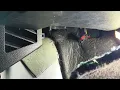 2016 and Up Ford F-150 Fix Stuck on Actuator Replacement