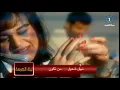 نبيل شعيل - تسأليني من أكون