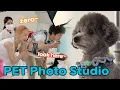 Download Lagu Let's Make a Memory at a Pet Photo Studio!🐕📷