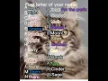 Warrior cat name generator