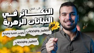 التكاثر فى النباتات الزهرية 2 التلقيح والإخصاب وتكوين الثمرة والبذرة والإثمار العذرى سنتر 