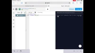 Python Infinite Loops