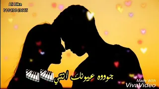حاله واتس صابر الرباعي اجمل نساء الدنيا   دندنها
