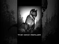 Dinosaurs that would actively hunt humans | Never-Mag.lo | slowed