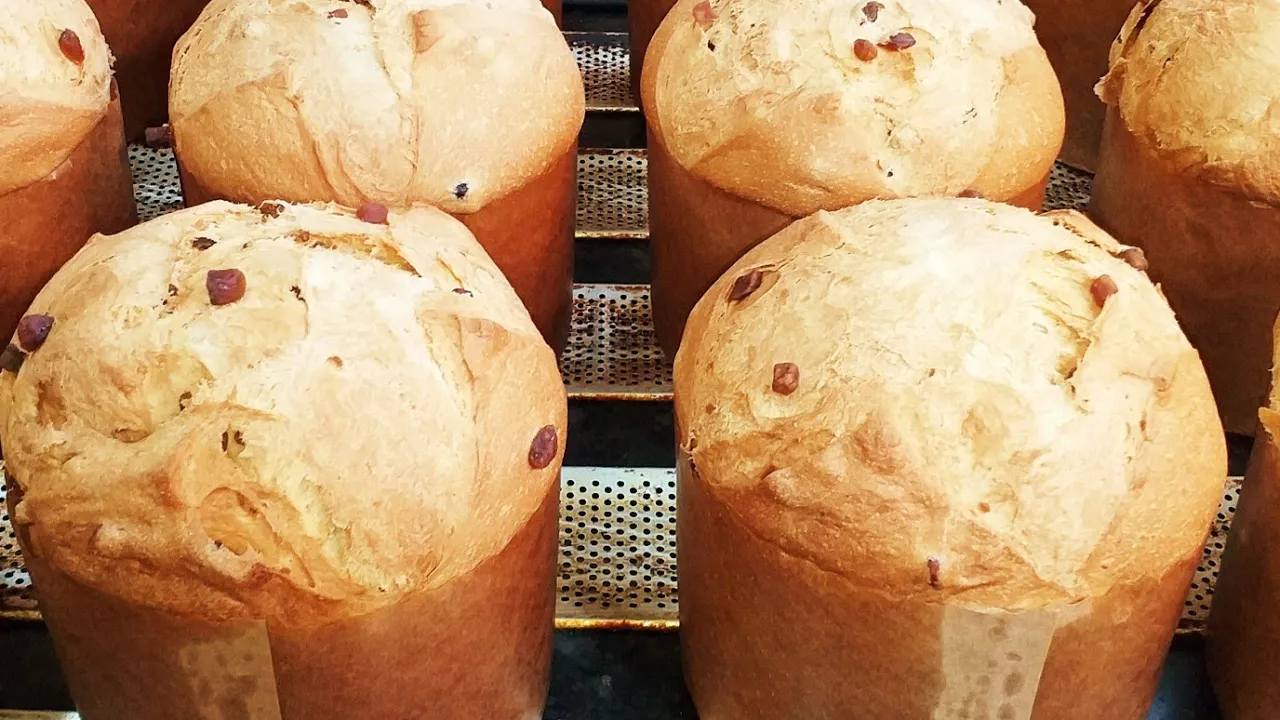 Panetone Artesanal - Receita Pão da Casa