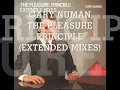 Gary Numan Cars (Extended Mix).