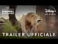 Video di Disney+ | Gli Eroi del Disney's Animal Kingdom - In Streaming Dal 25 Settembre
