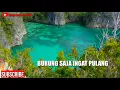 Download Lagu BURUNG SAJA INGAT PULANG COVER KEYBOARD