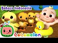 Download Lagu Sepuluh Anak Bebek | CoComelon Bahasa Indonesia - Lagu Anak Anak | Nursery Rhymes