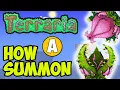 Terraria How to spawn Plantera NO EXPLORE Terraria How to get Plantera spawner