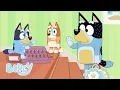 Hotel Episode complet Bluey Francais Chaine Officielle