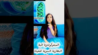 البطارية السرية للحياة الميتوكوندريا Mitochondria 