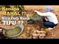 Download Lagu RAHSIA bagaimana peniaga durian menaikkan harga durian?? Part 2