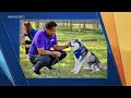 5 Talk Street A - Clear The Shelters Irving Animal Services