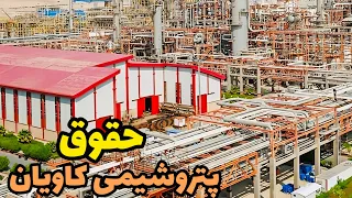 حقوق و پتروشیمی کاویان 