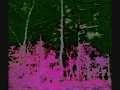 Mazzy Star ~ Blue Light
