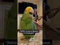 Download Lagu Parrot Sings ‘I’m a Freaking Bird’ - CreatureCops